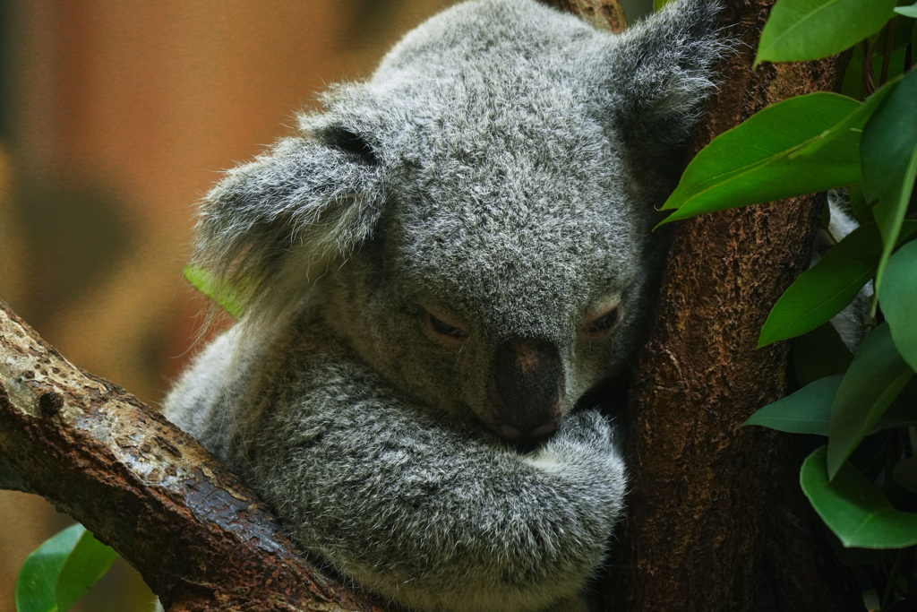 眠いよね～♡