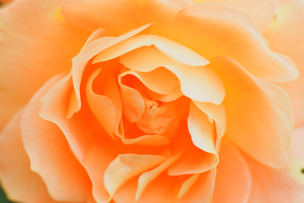 やわらかな渦に、心をゆだねる