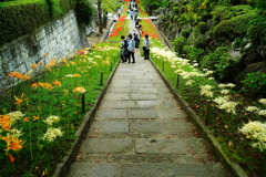 花寺