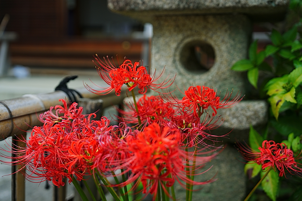 寺院