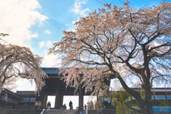 東郷寺山門