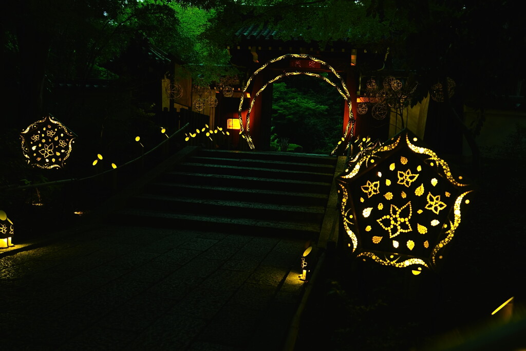 HANABIYORI NIGHT
