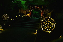 HANABIYORI NIGHT