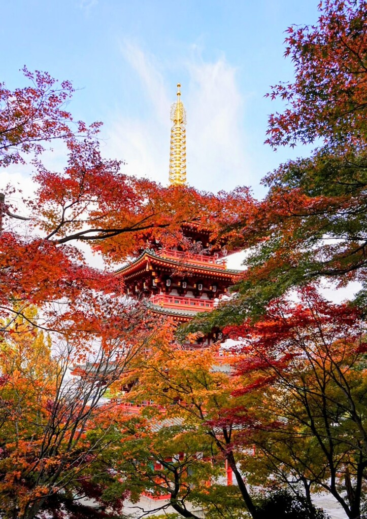 寺とモミジ