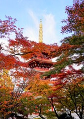 寺とモミジ