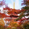 寺とモミジ