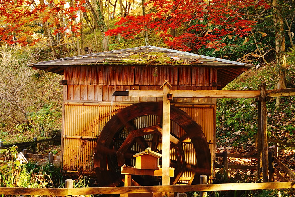 水車小屋と紅葉