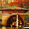水車小屋と紅葉