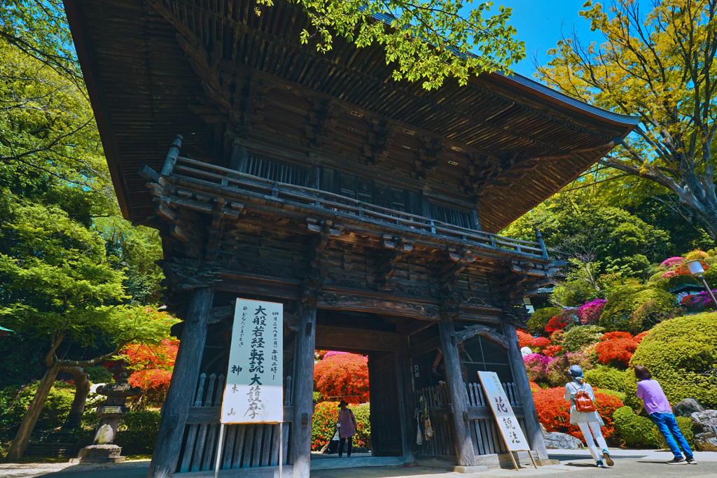 つつじ寺