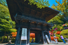 つつじ寺