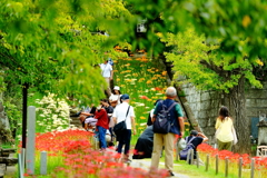 花寺