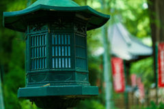 夏のお寺