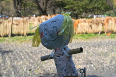 かかし