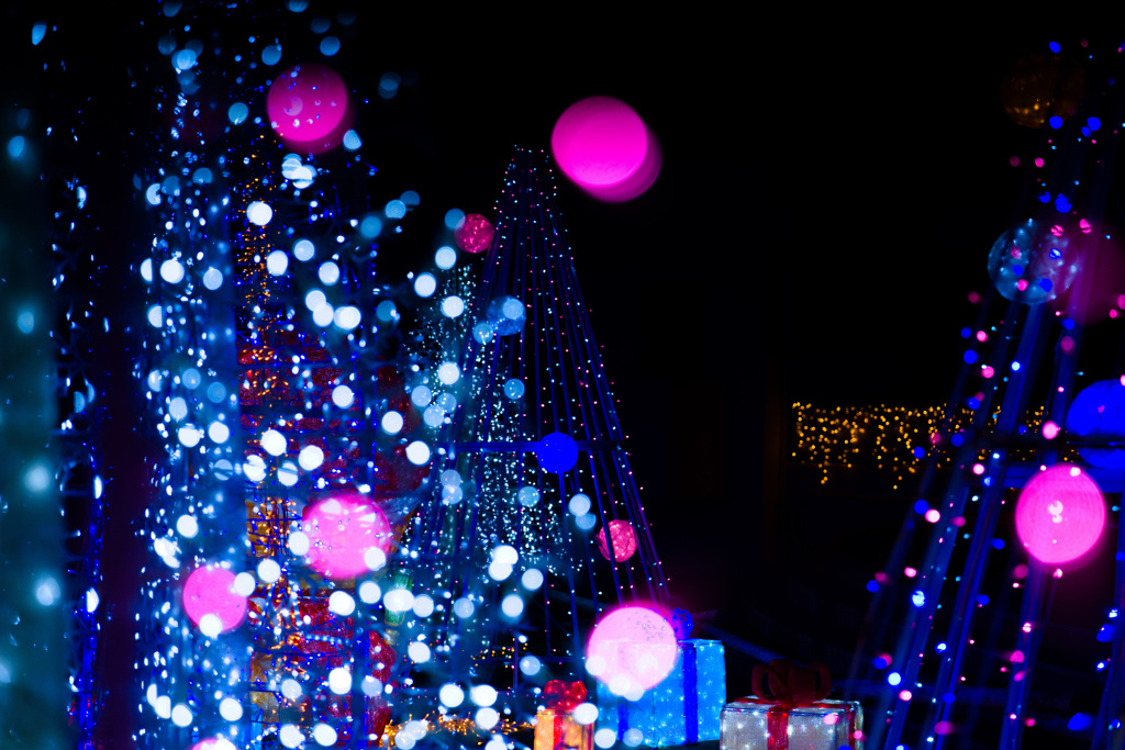 ILLUMINATIONナイト