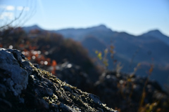 DSC_1674