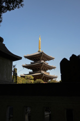 寺