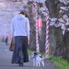 見つめ合う２人？