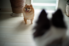 だ、誰だお前は！