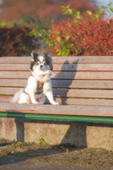 ちょっと休憩しよ？