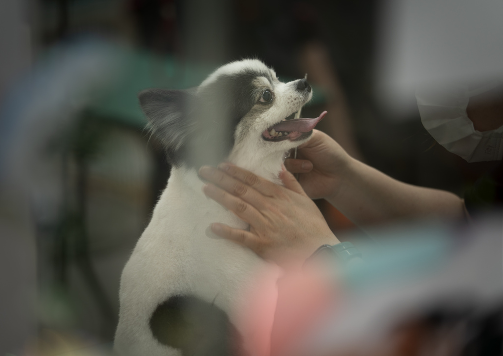 トリミング①