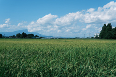 田舎の夏空
