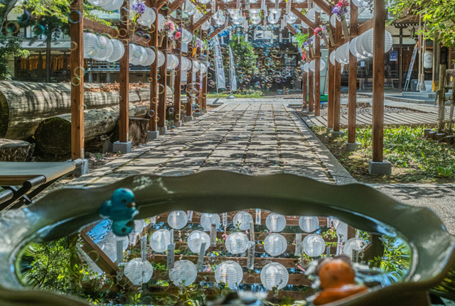 物・雑貨写真集