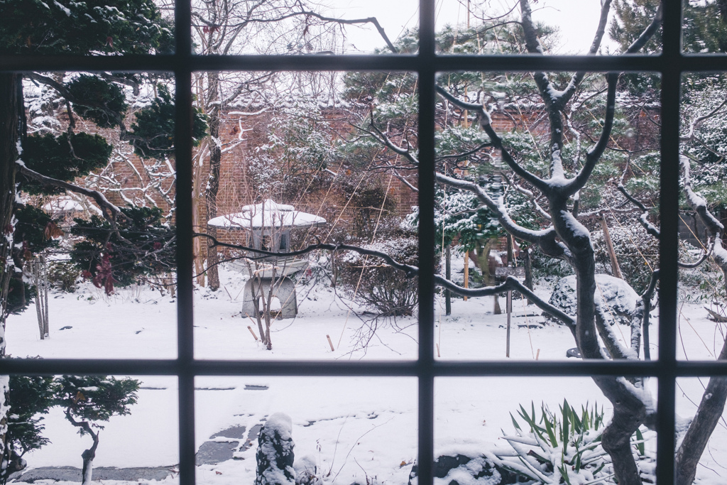 ガラス越しの冬
