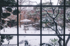 ガラス越しの冬