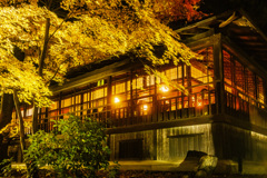 紅葉ライトアップ