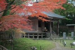 中尊寺の紅葉