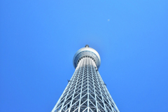 スカイツリー×飛行機