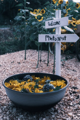Photo spot→