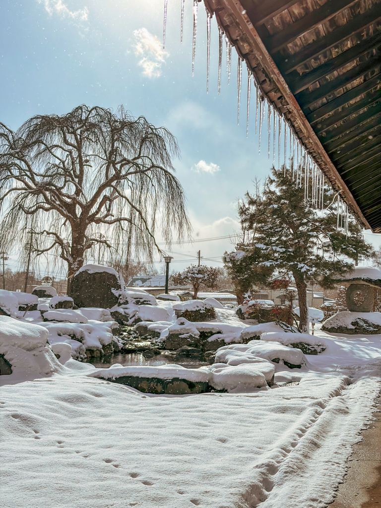 雪の庭園