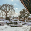 雪の庭園