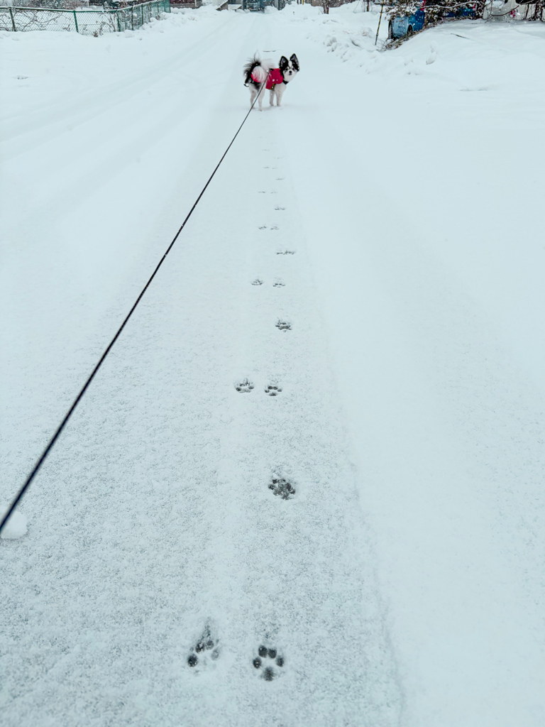 足跡‥その先に‥