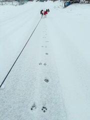 足跡‥その先に‥