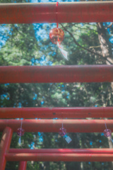 見上げる‥