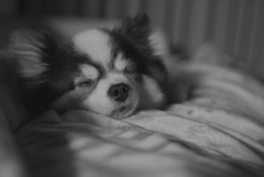 ‥ZZZ