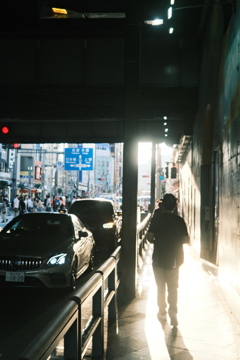 夕刻の光
