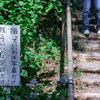 名（迷）言‥