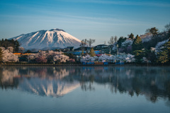 高松の池からの眺め