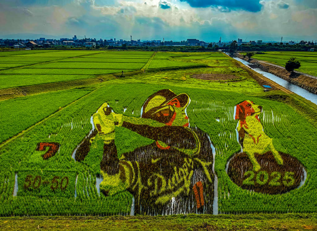田んぼアート