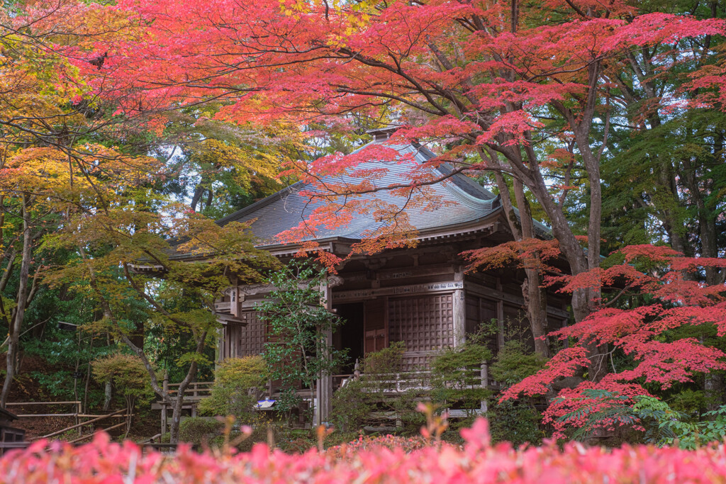 秋色の中尊寺