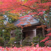 秋色の中尊寺