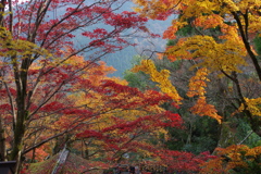 鞍馬寺