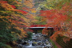 大津、明王院