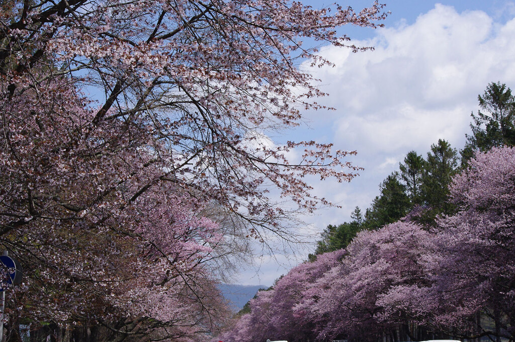 二十間道路
