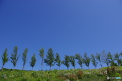 列