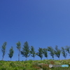 列