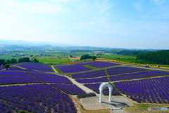 上富良野